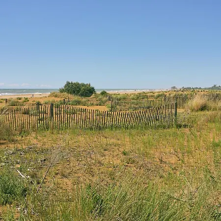 Comfort Near Sea And Pinewoods *