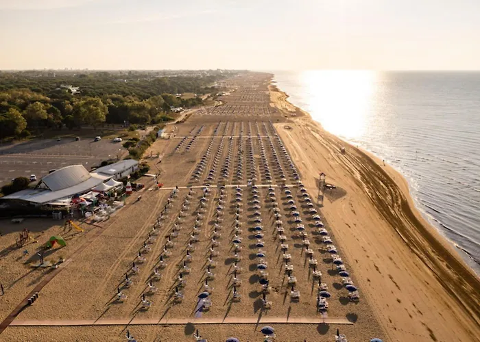 Comfort Near Sea And Pinewoods